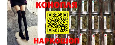 Альфа ПВП Владимир