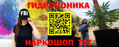 Альфа ПВП Владимир