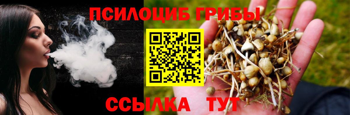 цены наркотик  Псилоцибиновые грибы мицелий  Вход с VPN  Новошахтинск 